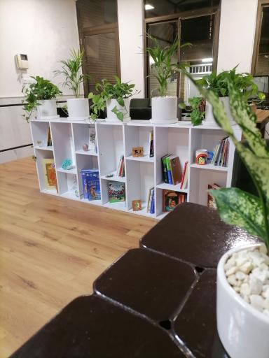 مدرسه مهارت تکنوکرافت 