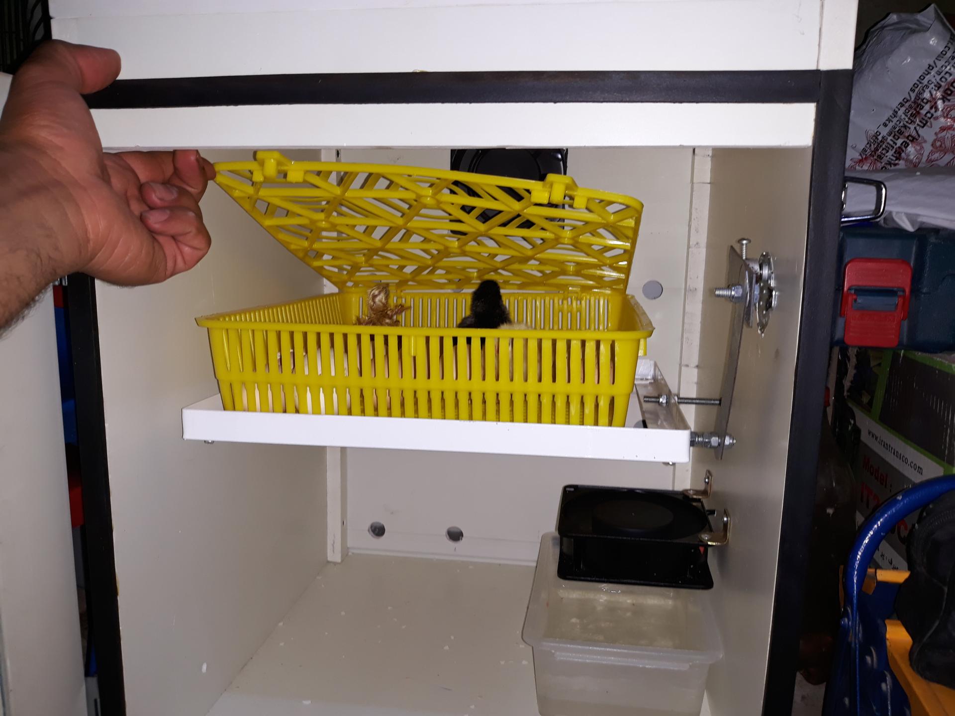 عکس دستگاه جوجه کشی تک