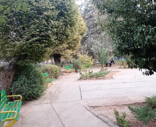 عکس بوستان شهرداری (دلیجانی)