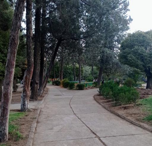 عکس بوستان شهرداری (دلیجانی)