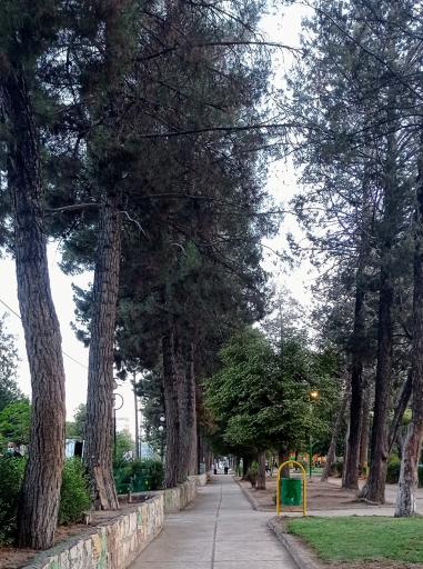 عکس بوستان شهرداری (دلیجانی)