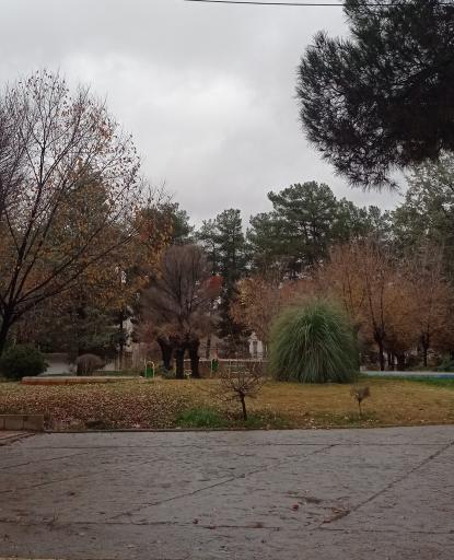 عکس بوستان شهرداری (دلیجانی)