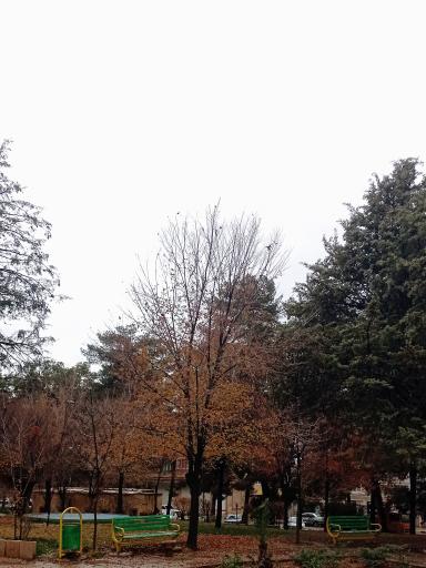 عکس بوستان شهرداری (دلیجانی)