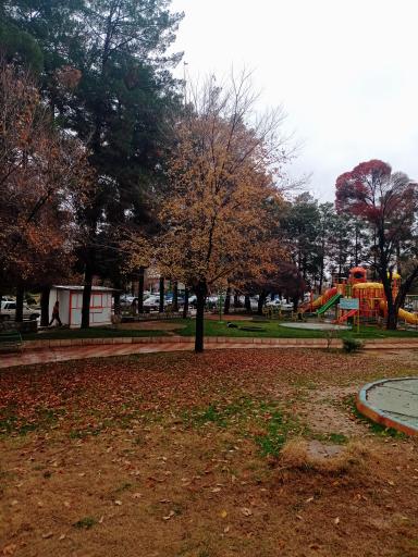 عکس بوستان شهرداری (دلیجانی)