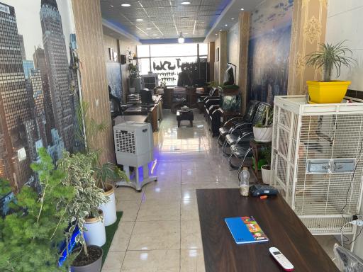 عکس مشاورین املاک آرین