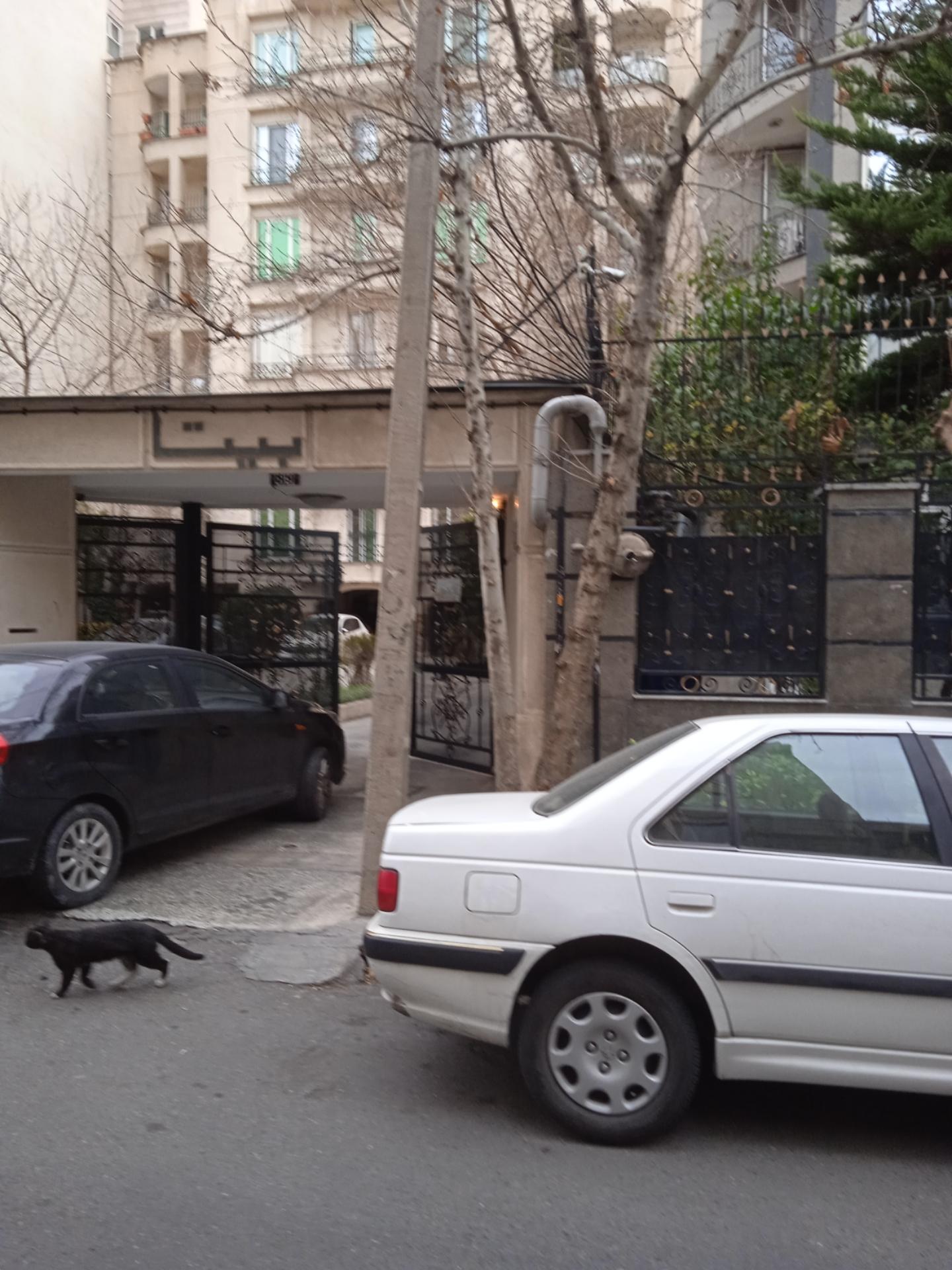 عکس مجتمع بیتا