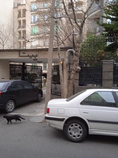 عکس مجتمع بیتا