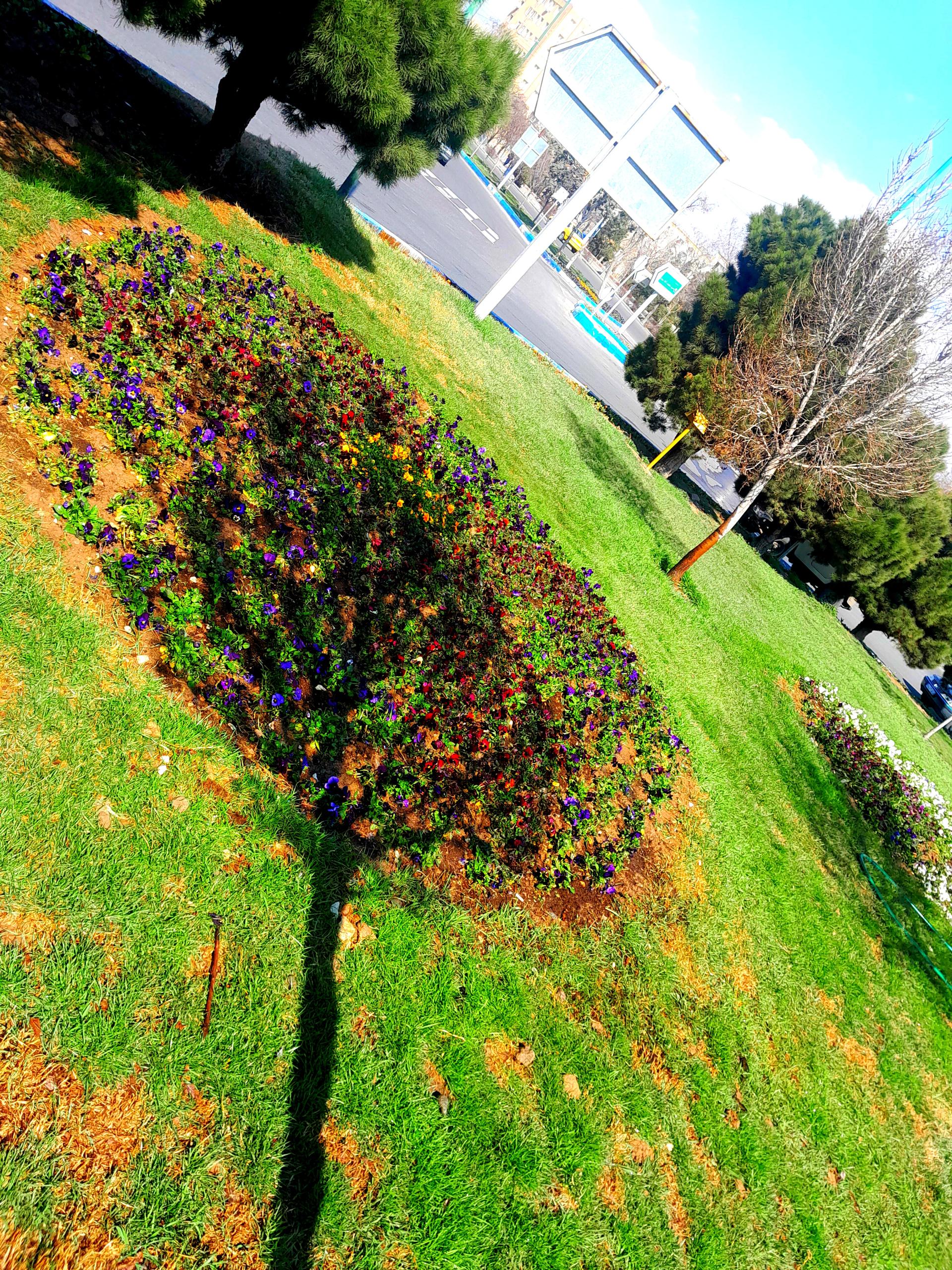 عکس میدان اندیشه