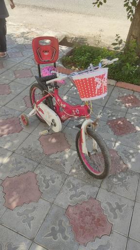 عکس دوچرخه سازی سجاد