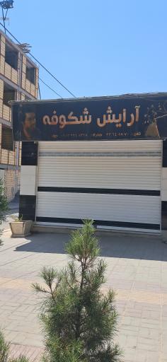 عکس پیرایش شکوفه