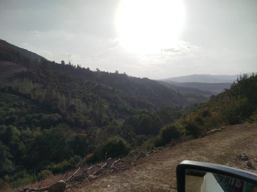 عکس چناربن