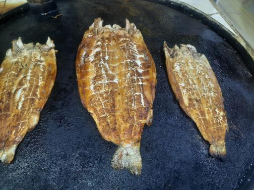 عکس ماهی کباب اقیانوس