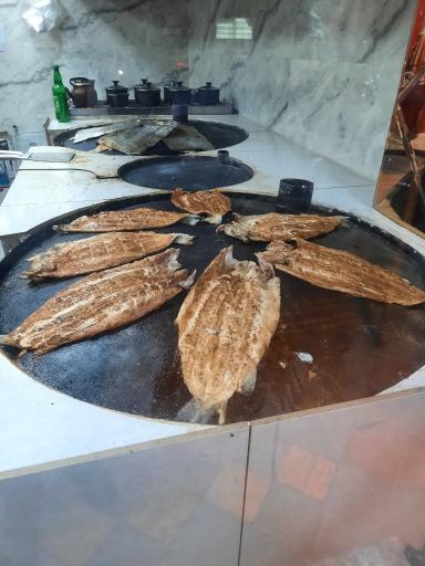 عکس ماهی کباب اقیانوس