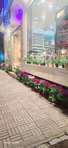 عکس شهر کتاب رامسر