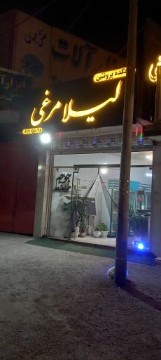 عکس دهکده پروتئین لیلا مرغی