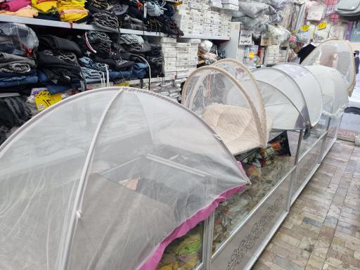 عکس سیسمونی فندق کوچولو