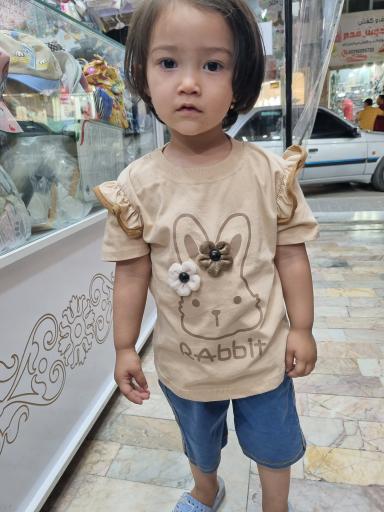 عکس سیسمونی فندق کوچولو