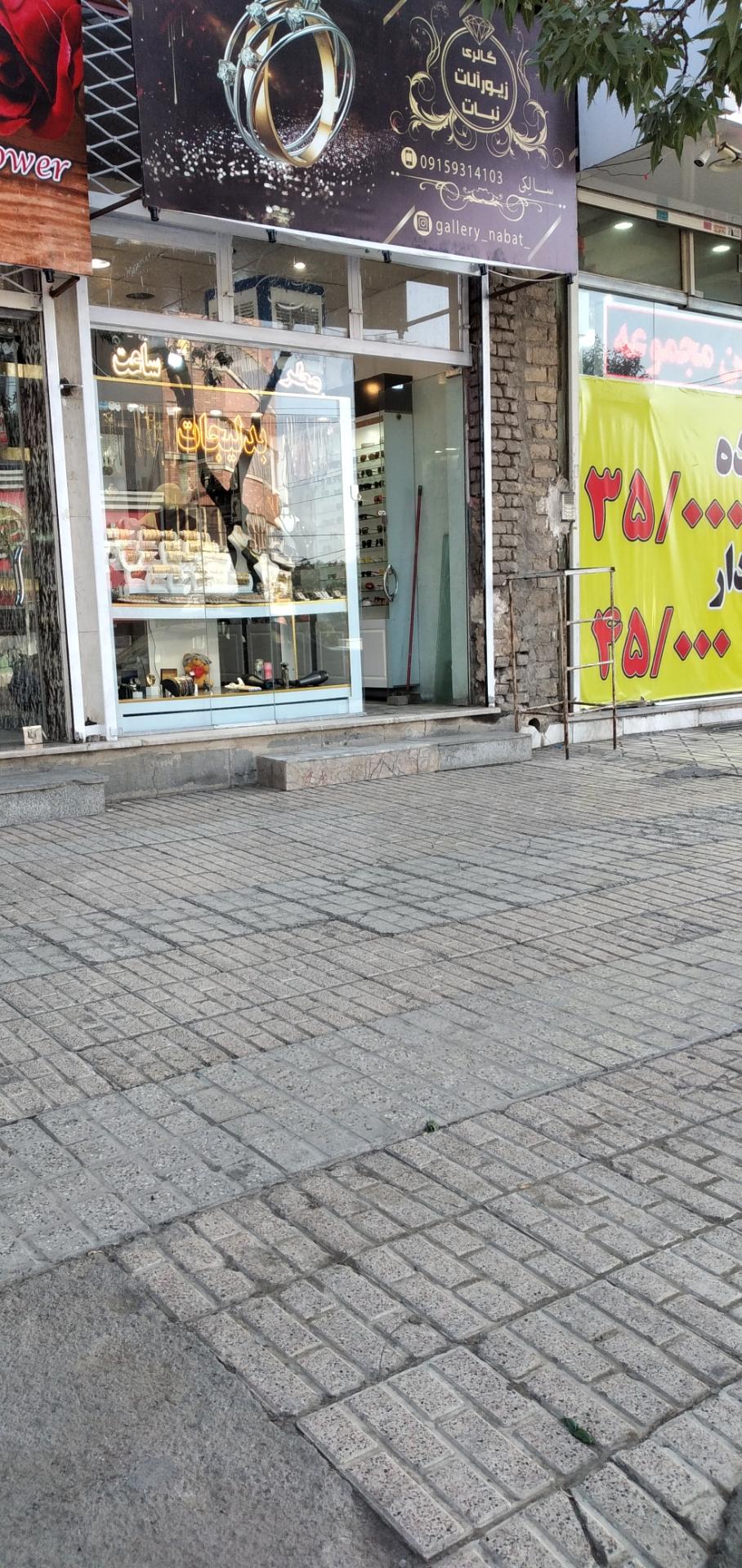 عکس زیورآلات نبات