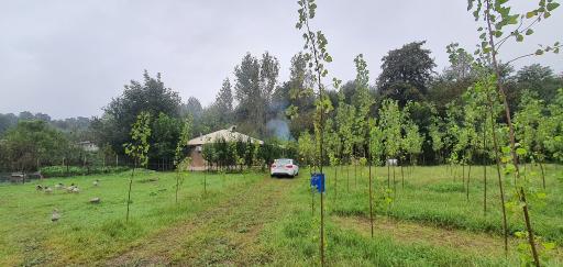 عکس اقامتگاه بومگردی گیلان تاج