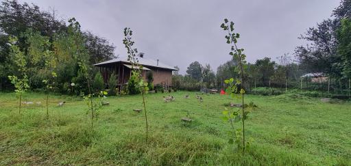 عکس اقامتگاه بومگردی گیلان تاج