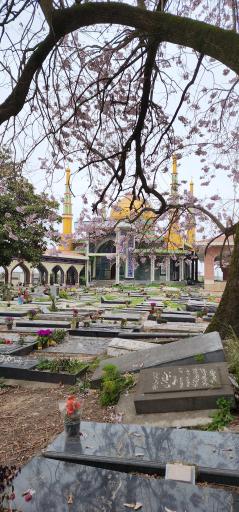 عکس آرامستان زیارت ور