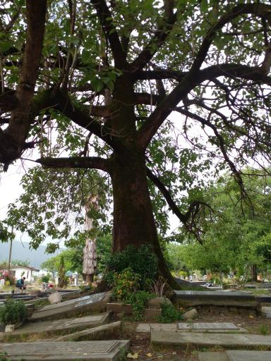 عکس آرامستان زیارت ور