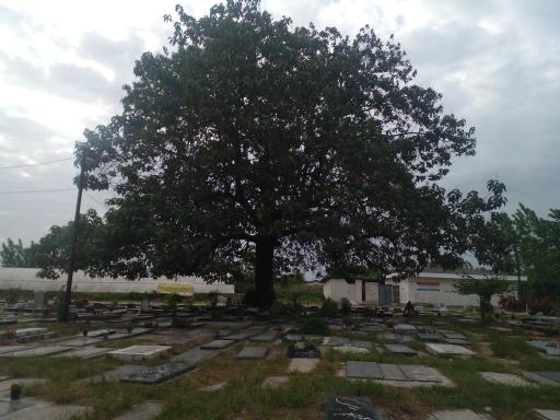 عکس آرامستان زیارت ور