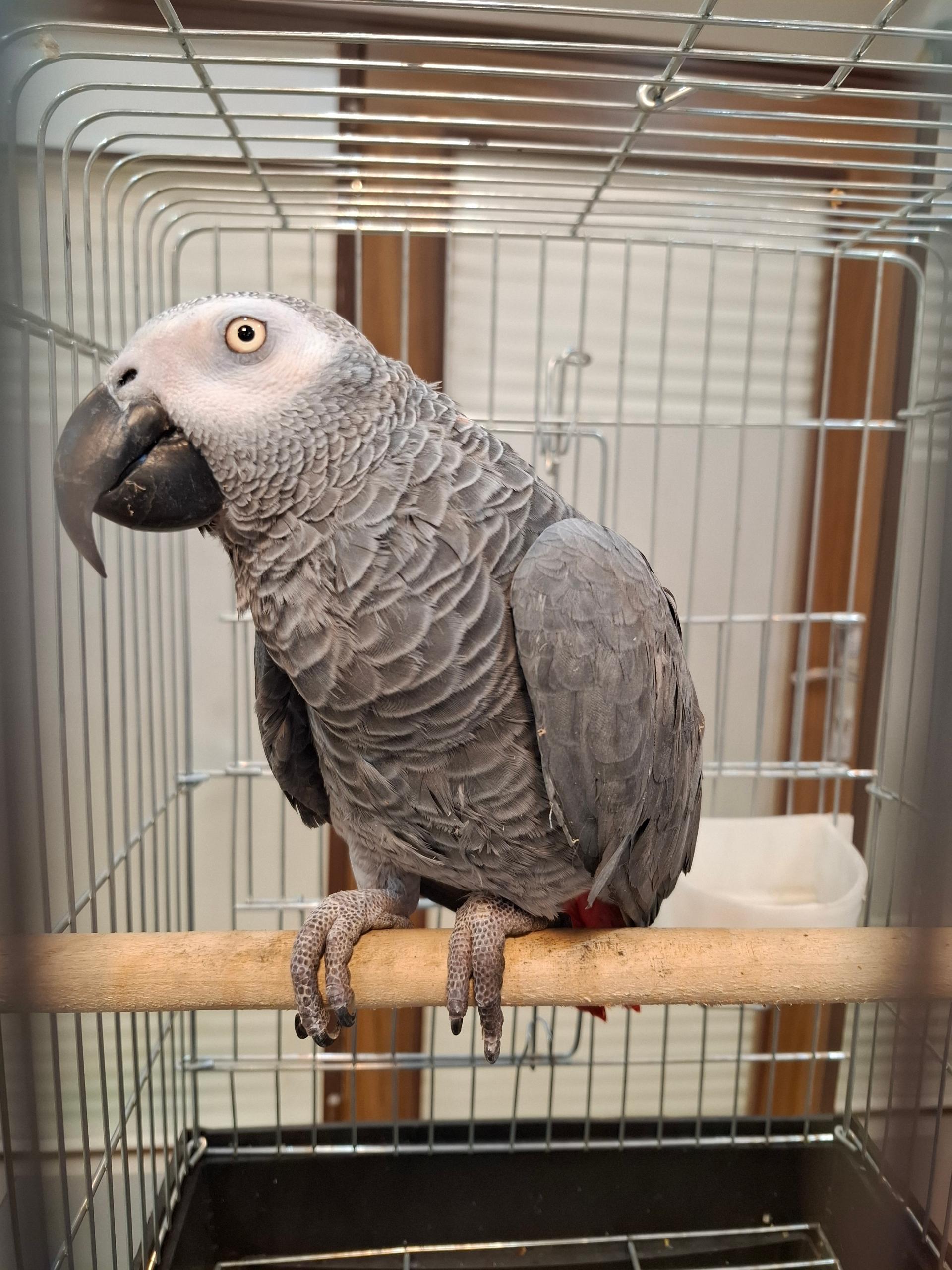 عکس کلینیک دامپزشکی و پت شاپ مدیک