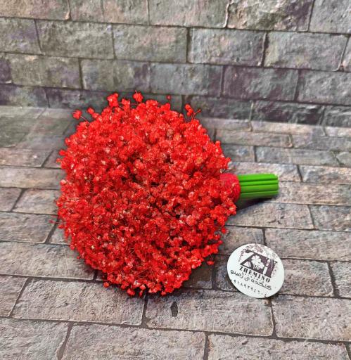 عکس گل فروشی ژمینو