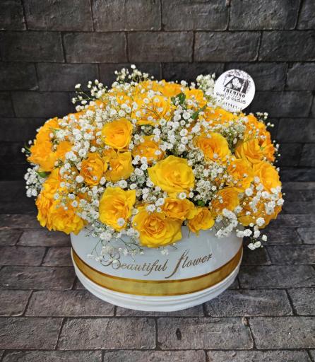 عکس گل فروشی ژمینو