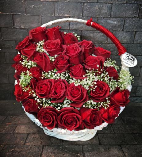 عکس گل فروشی ژمینو