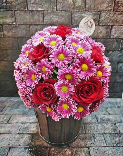 عکس گل فروشی ژمینو