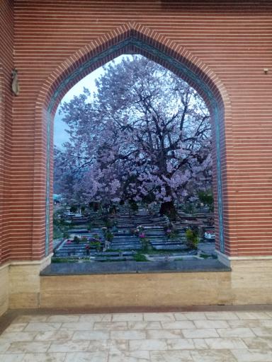 عکس آرامستان زیارت ور