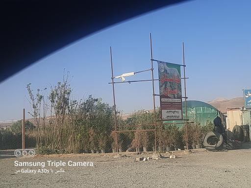 عکس نهالستان اسدی