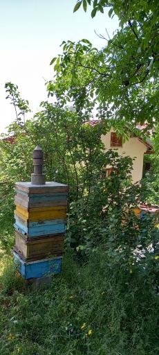 عکس اقامتگاه آرامش