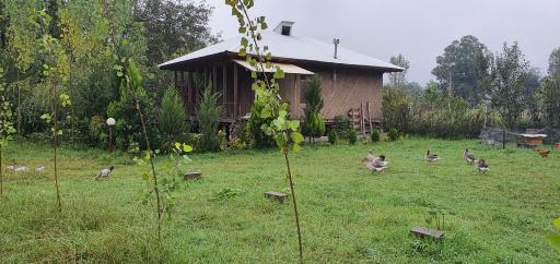 عکس اقامتگاه بومگردی گیلان تاج