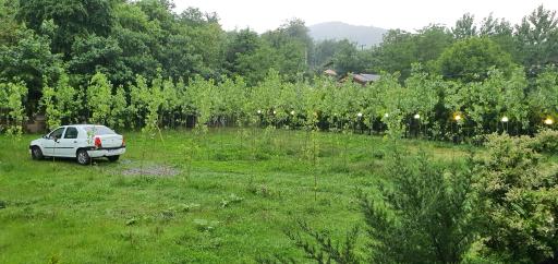 عکس اقامتگاه بومگردی گیلان تاج