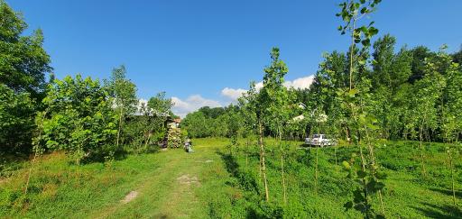 عکس اقامتگاه بومگردی گیلان تاج