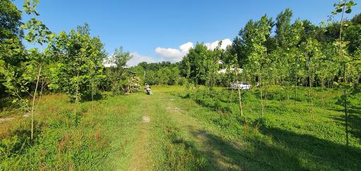 عکس اقامتگاه بومگردی گیلان تاج