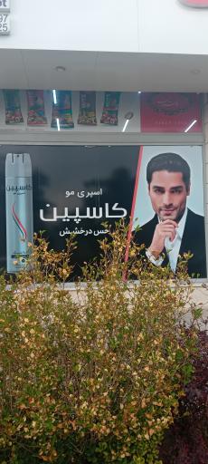 عکس افق کوروش (کوی قائم)