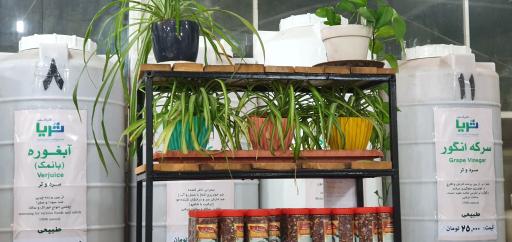 عکس عرقیات ثریا گلبرگ سفید