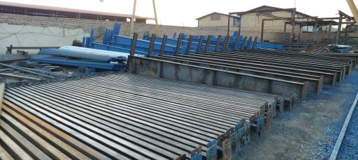 عکس آسیا سوله