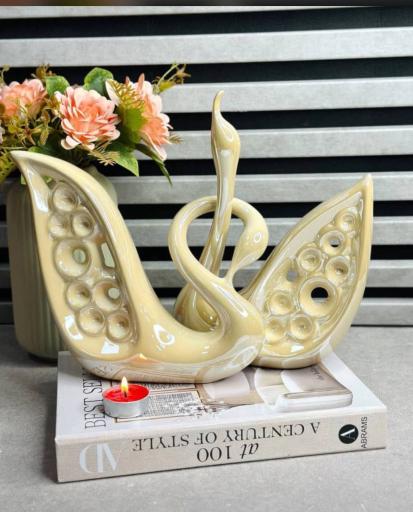 عکس پخش ملل