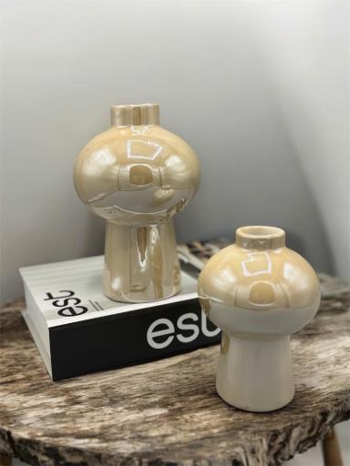 عکس پخش ملل