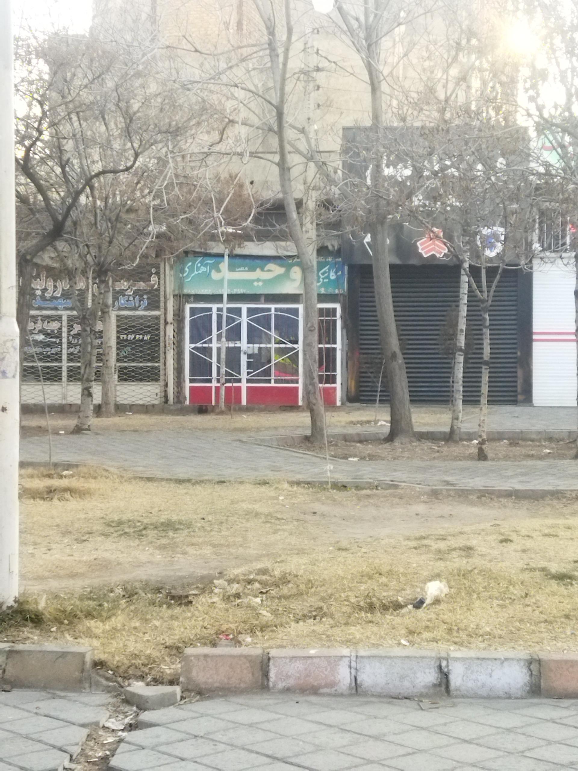 عکس مکانیکی وحید