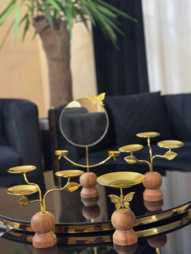 عکس پخش ملل