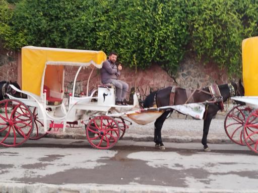 عکس پیست کالسکه سواری 