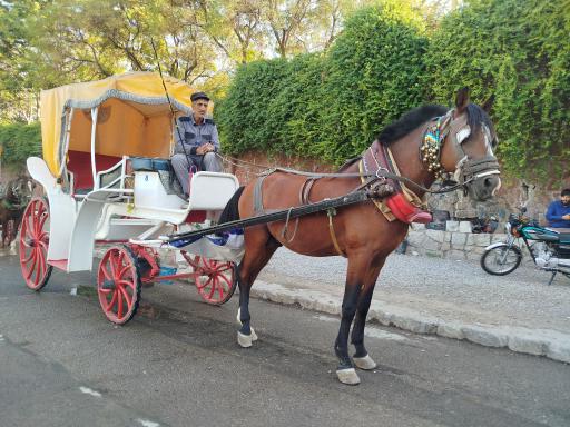 عکس پیست کالسکه سواری 