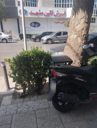عکس فرش نگین مشهد