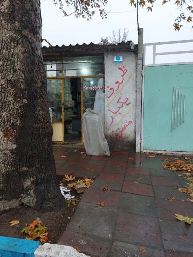 عکس فروشگاه ظروف یکبار مصرف